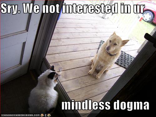 funny-pictures-cat-greets-dog-at-door.jpg